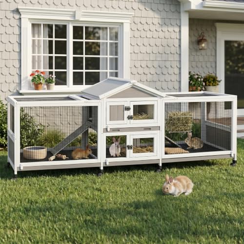 93"L Double Rabbit Hutch with Dual Runs (93.0"L x 22.1"W x 35.0"H)