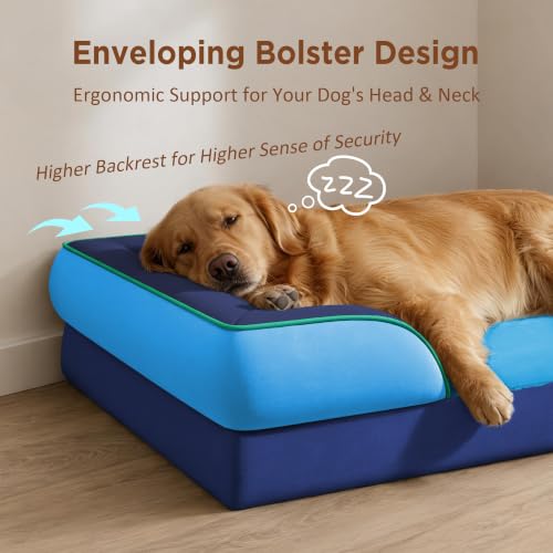 Orthopedic Dog Bed for Extra Large Dogs with Bolster (45.0"L x 35.0"W x 8.5"Th / Philadelphia)