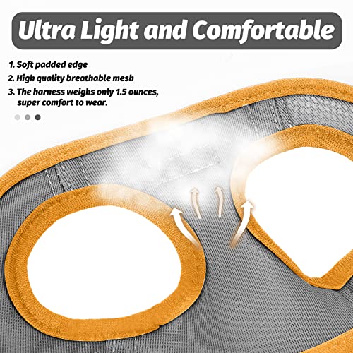 Cat Harness and Leash Set (Gray / S(Chest 8-10"))