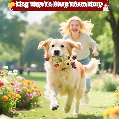 Christmas Dog Toy Squeaky Interactive Dog Toys Indoor Outdoor Play (JM deer)