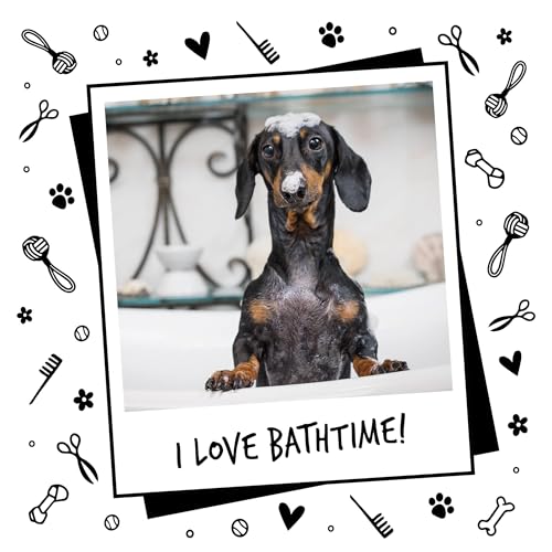 Dog Shampoo Luxury 2 in 1 Papaya & Coconut Dog Grooming Shampoo Products for Smelly Dogs with Fragrance