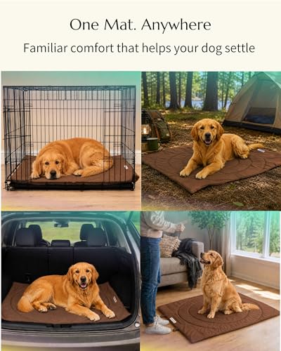 Dog Travel Mat (Brown)