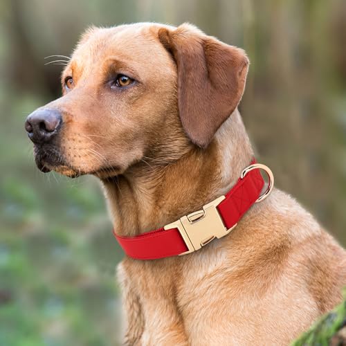 Soft PU Leather Dog Collar (L: Fit 16-27" Neck(55-110 lbs) / Red)