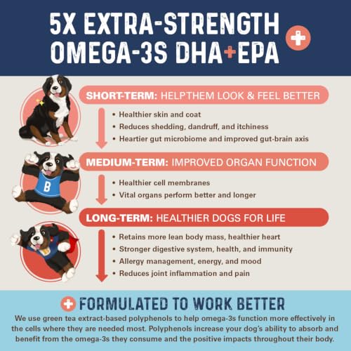OMG Omegas 5X Extra Strength Dog Omega