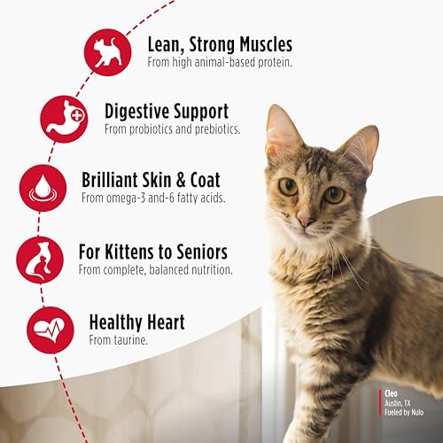 Freestyle Cat & Kitten Dry Food (2 Pound (Pack of 1))