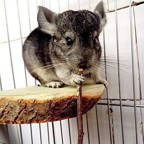 500g Apple Sticks for Small Animals
