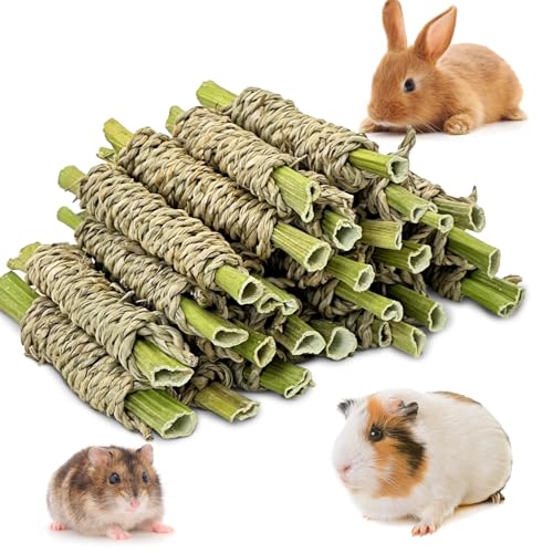 24 PCS Rabbit Chew Sticks