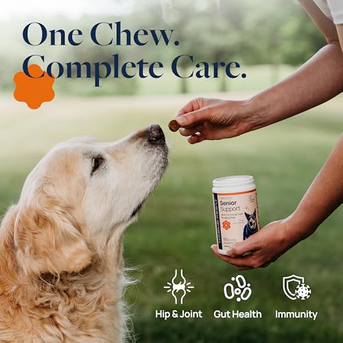Smart Vitality Senior Support Supplement (60 ct / Senior Support)