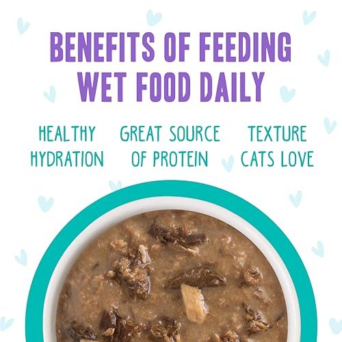 B.F.F. OMG Best Feline Friend Oh My Gravy! (2.8 Ounce (Pack of 12))