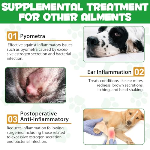 Natural Antibiotics for Dogs