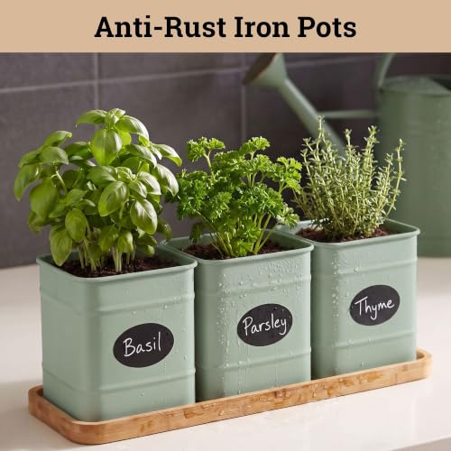 Herb Planter Indoor (Sage Green)