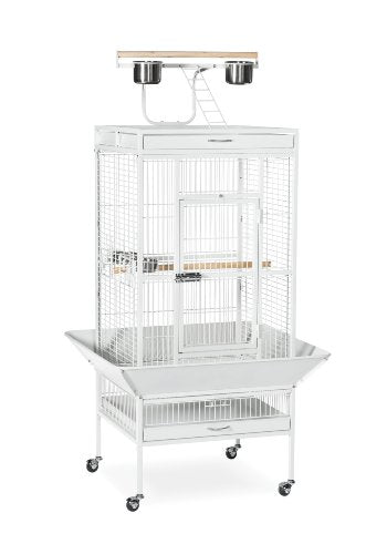 Wrought Iron Select Bird Cage (Chalk White / 24.0"L x 20.0"W x 60.0"H)