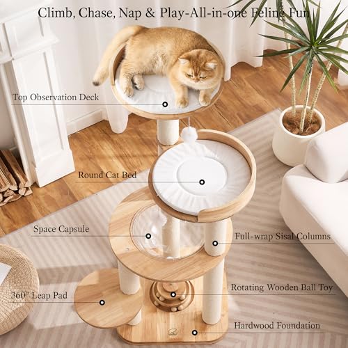 Modern Solid Wood Cat Tree Tower (49 Inch-Turntable Toy)