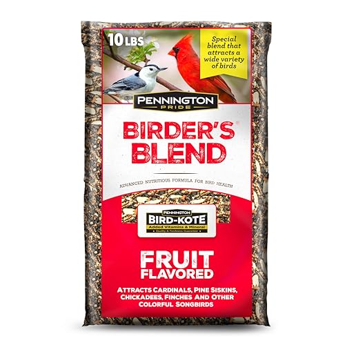 Classic Natural Oil Sunflower Seed Bird Food (10 pounds)