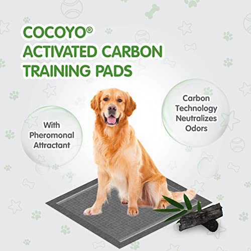 Dog Training Pads Extra Large Size丨Carbon Absorb Eliminating Urine Odor Puppy Pads 丨 Premium Charcoal Dog Pee Pads (30 x 36 in)