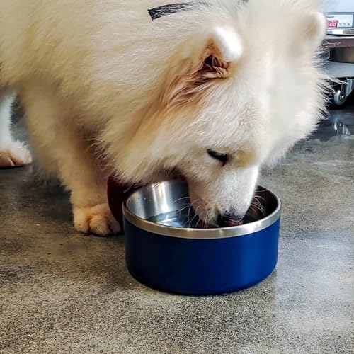 Stainless Steel Dog Bowl