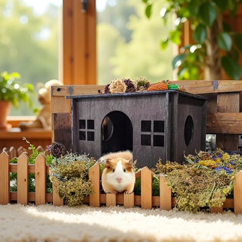Large Rabbit Hideout (Walnut Style 1 / Large)
