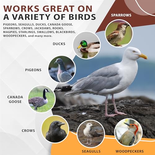 Bird Repellent Bundle