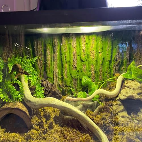 Cork Terrarium Background (【2 PCS】)
