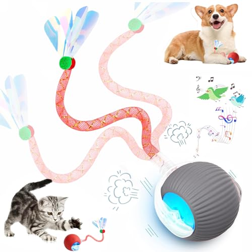 Speed 2.0 Tail Interactive Cat Toys for Indoor Cats (Grey)
