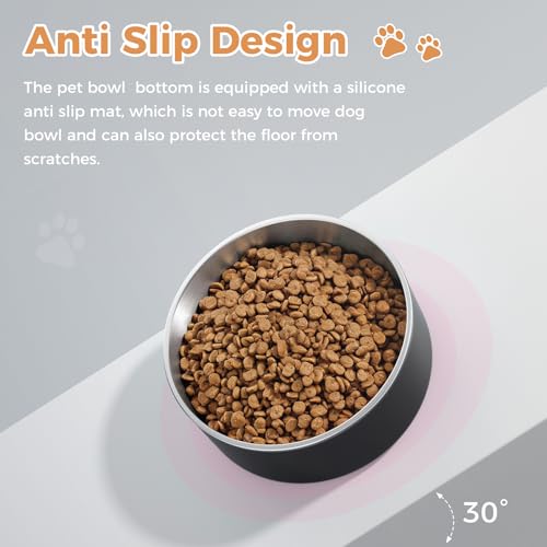 Dog Bowl Stainless Steel Food and Water Bowl (40 oz / Black)