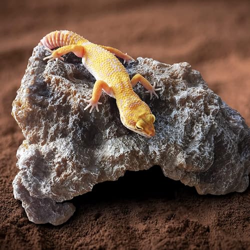 Reptile Hides Rock Reptile Cave Hideout Terrarium