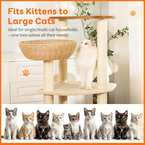 55.5 Inch Modern Cat Tree for Large Cats with Woven Rattan Beds (1)