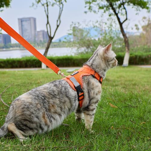 Cat Harness and Leash Set (Orange / Large)