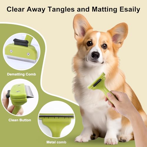 6 PCS Dog and Cat Grooming Kit (Green)