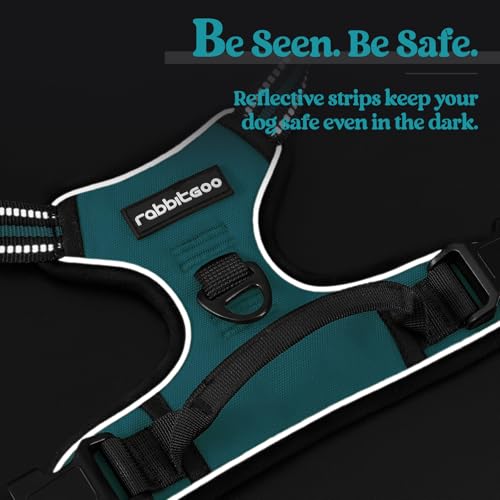 Dog Harness No Pull with 2 Leash Clips (Large / Teal)
