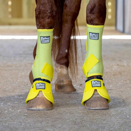 Expression Protective Horse Boots (Yellow / Small)