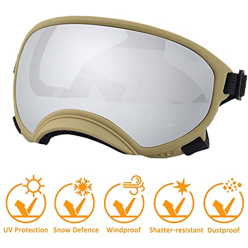 Large Dog Sunglasses
