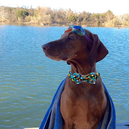 Dog Collar Boy Pet Collars Blue Durable Soft Bow (Starship Rocket / Small (Pack of 1))