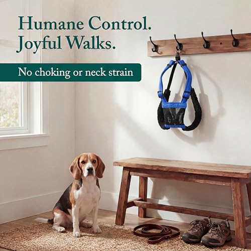 No Pull Dog Harness (Medium / Blue)