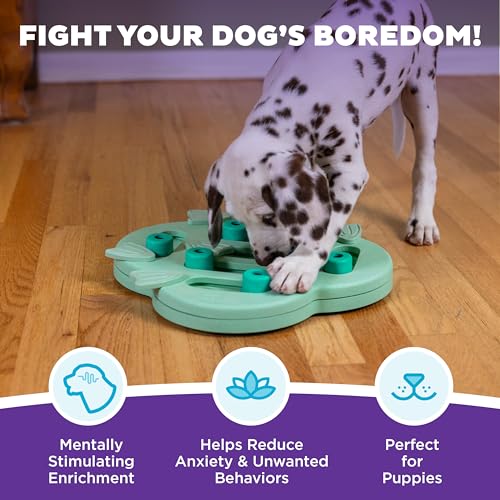 Nina Ottosson Puppy Hide N' Slide Dog Toy Treat Puzzle (Green / 1 Count (Pack of 1))