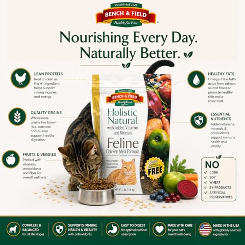 Holistic Premium Dry Cat Food (3 Pound (Pack of 3))