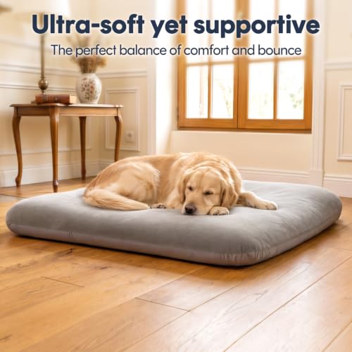 Super Soft Medium Dog Bed (32.0"L x 24.0"W x 3.0"Th / Grey)