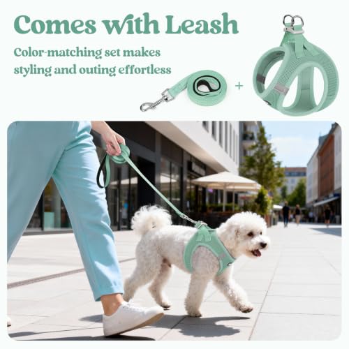 Dog Harness Medium Sized and Leash Set (Moss Green / L (chest: 18.2 - 20.5"))