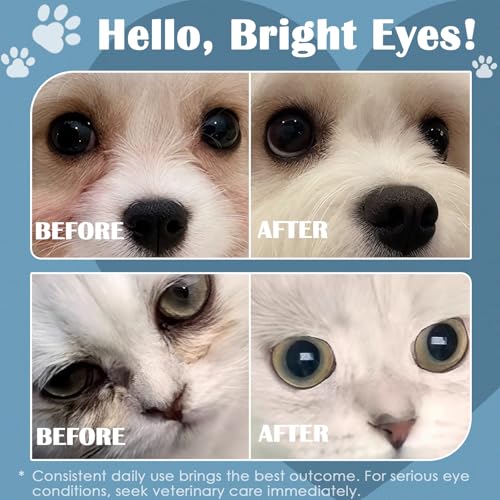 Dog Eye Drops