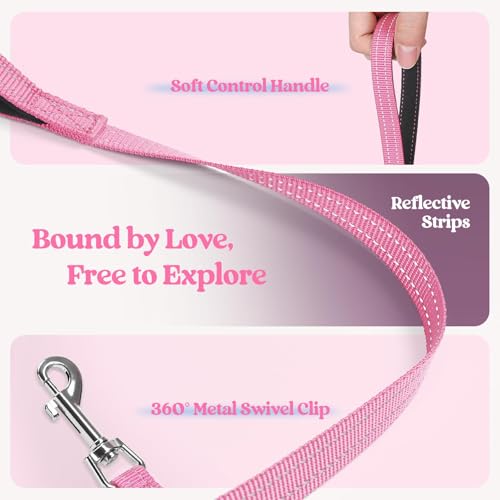 Dog Harness Small Sized and Leash Set (Pink & Plaid Trim / S (chest: 15.1 - 16.5"))