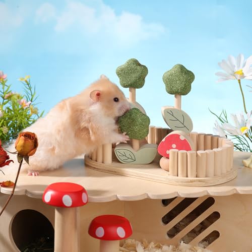 Hamster Chew Toys for Teeth