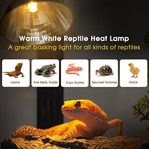 Reptile Heat Lamp G9 Halogen Heat Bulb Dome Reptile Light Fixture (Warm Light / 2 Pack)