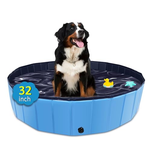 Foldable Dog Pool (32" / Blue)