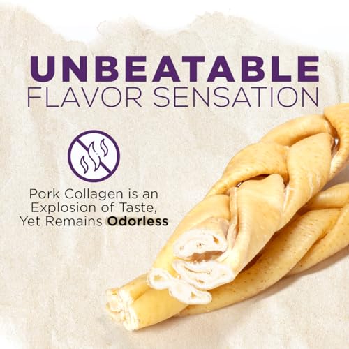 Braided Pork Collagen Dog Chews (10 Count (Pack of 1))