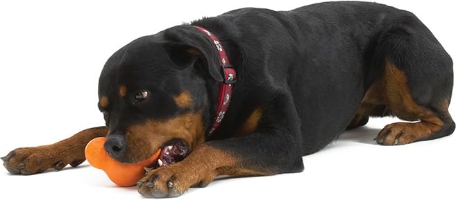 Zogoflex Tux Treat Dispensing Dog Chew Toy (Tangerine / Large)