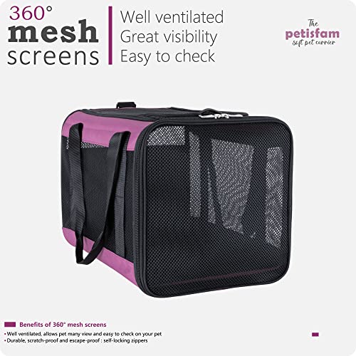 Soft Pet Carrier for Large and Medium Cats (Viva Magenta)