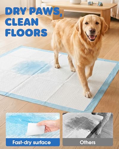 Puppy Pads for Dogs (Blue / 34" x 28" (100 Packs))