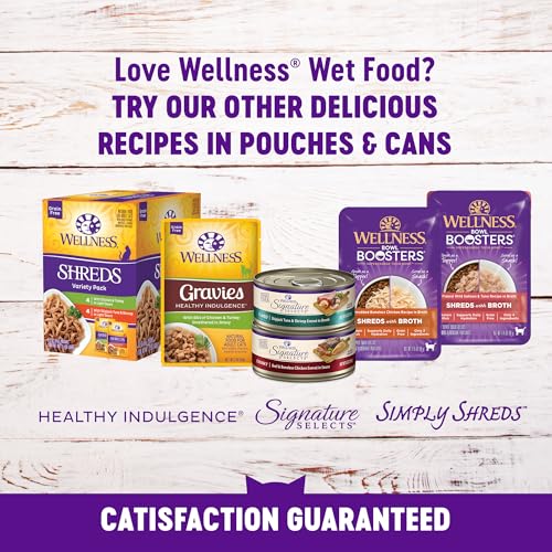 Healthy Indulgence Morsels Adult Wet Cat Food (3 Ounce (Pack of 24))