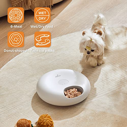 Donut Frost 6 Meal Cordless Automatic Pet Feeder with Two Ice Packs (Classic White)