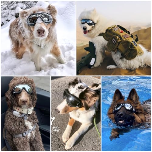 Dog Goggles Dog Sunglasses for Medium to Large Breed Anti (Large / Black)